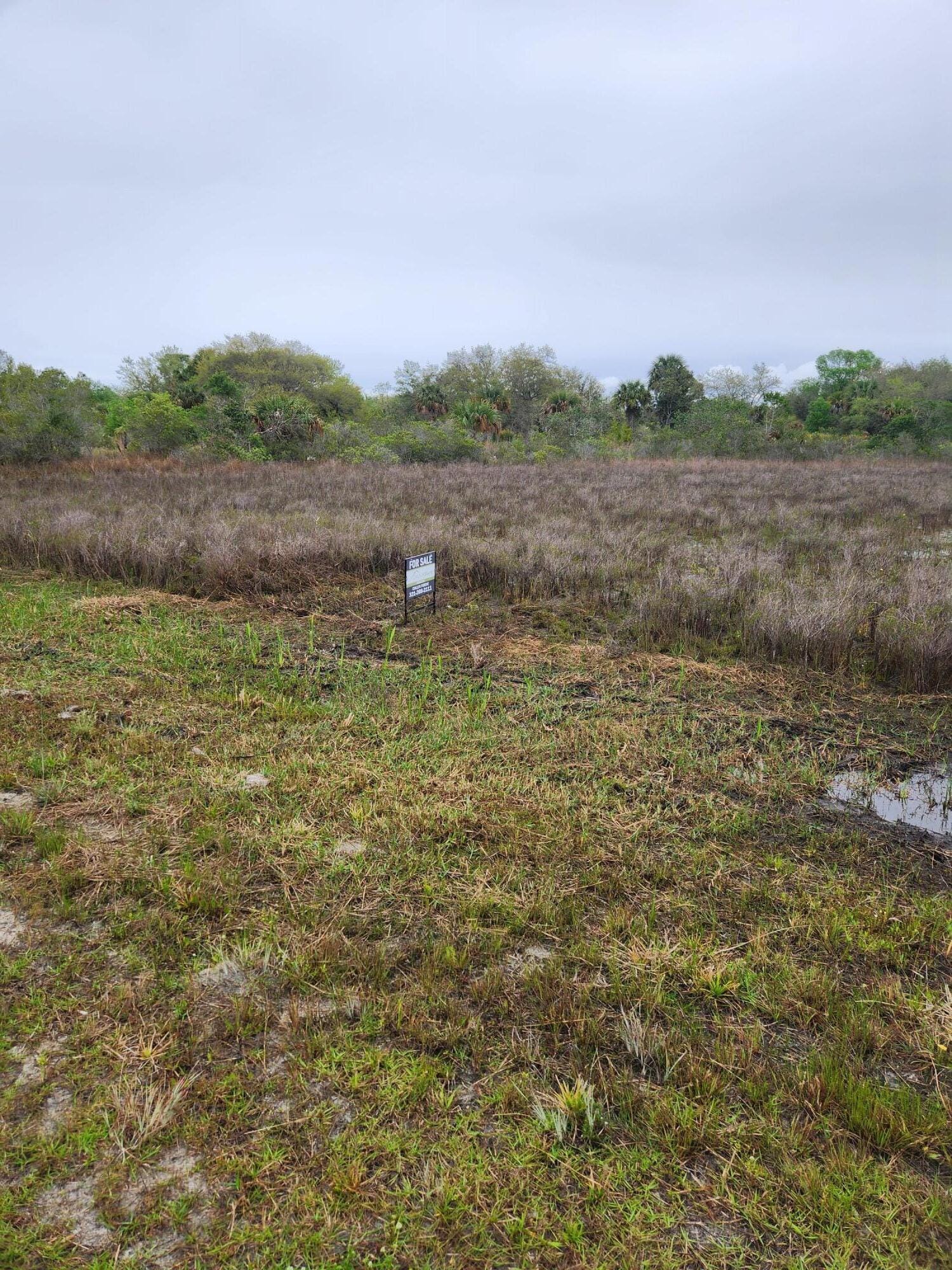 15679 NW 296th Street, Okeechobee, FL 34972