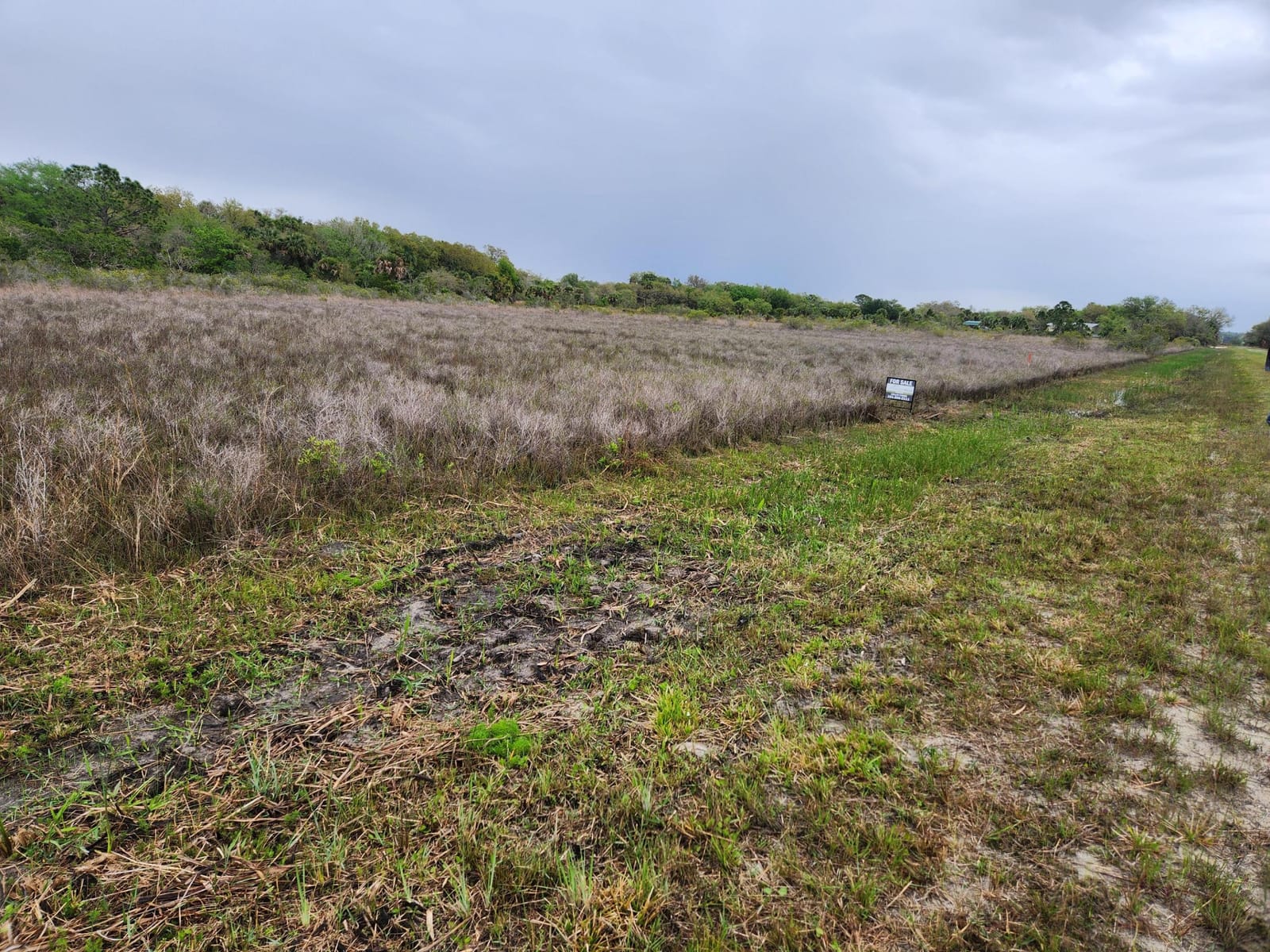 15679 NW 296th Street, Okeechobee, FL 34972 photo 11