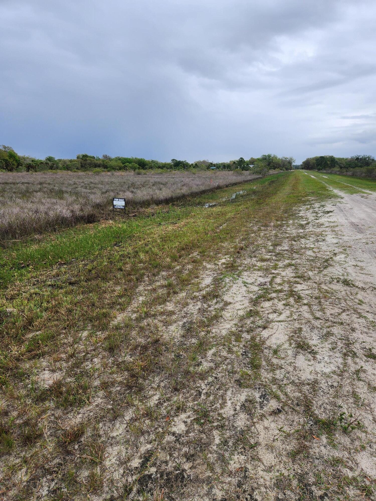 15679 NW 296th Street, Okeechobee, FL 34972 photo 5