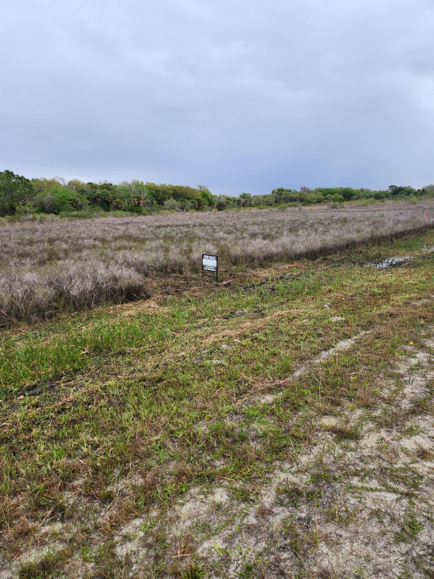 15679 NW 296th Street, Okeechobee, FL 34972 photo 6