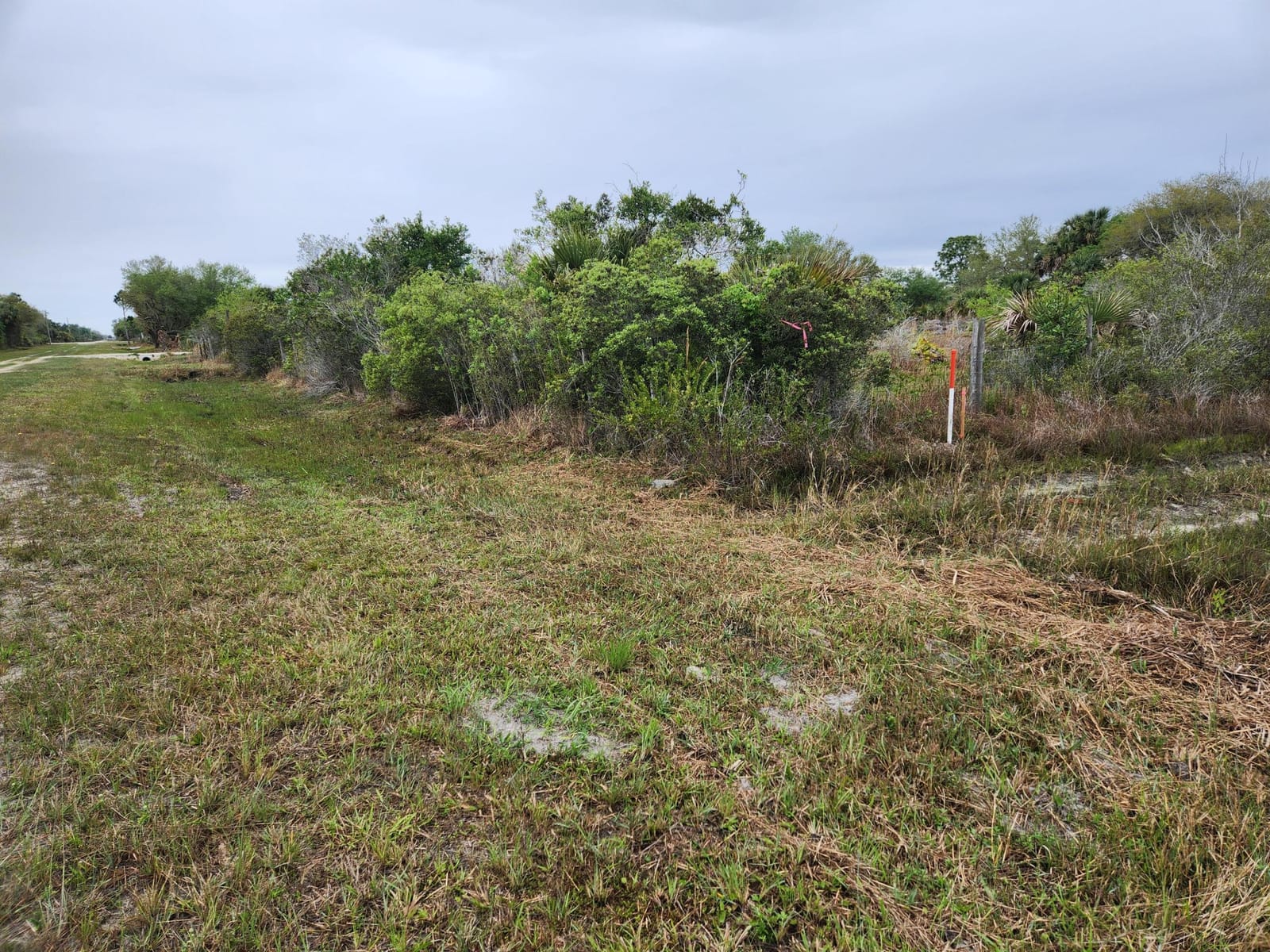 15679 NW 296th Street, Okeechobee, FL 34972 photo 8