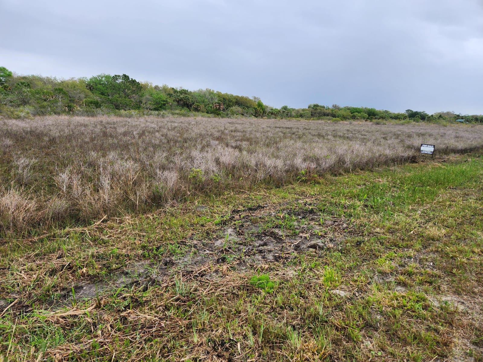 15679 NW 296th Street, Okeechobee, FL 34972 photo 10