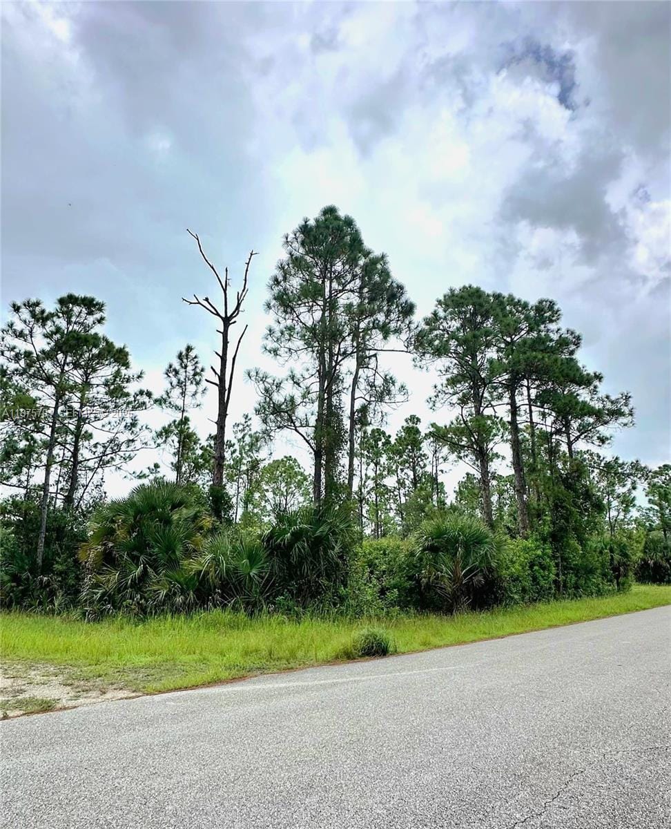 1247 Rake Street E, Lehigh Acres, FL 33974 photo 2