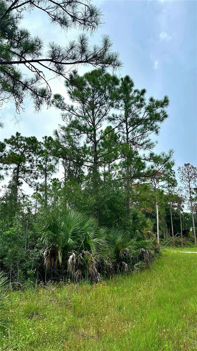 1247 Rake Street E, Lehigh Acres, FL 33974 photo 3