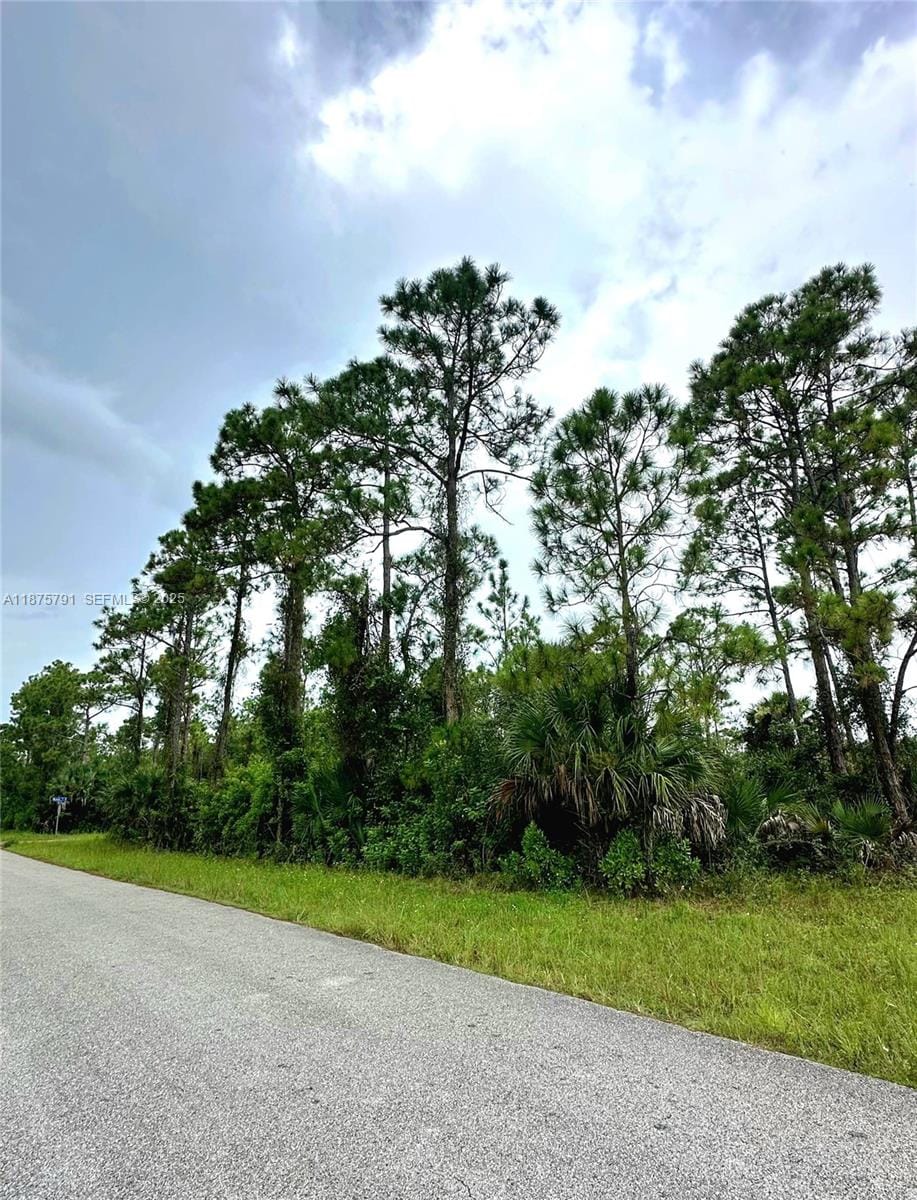 1247 Rake Street E, Lehigh Acres, FL 33974 photo 4