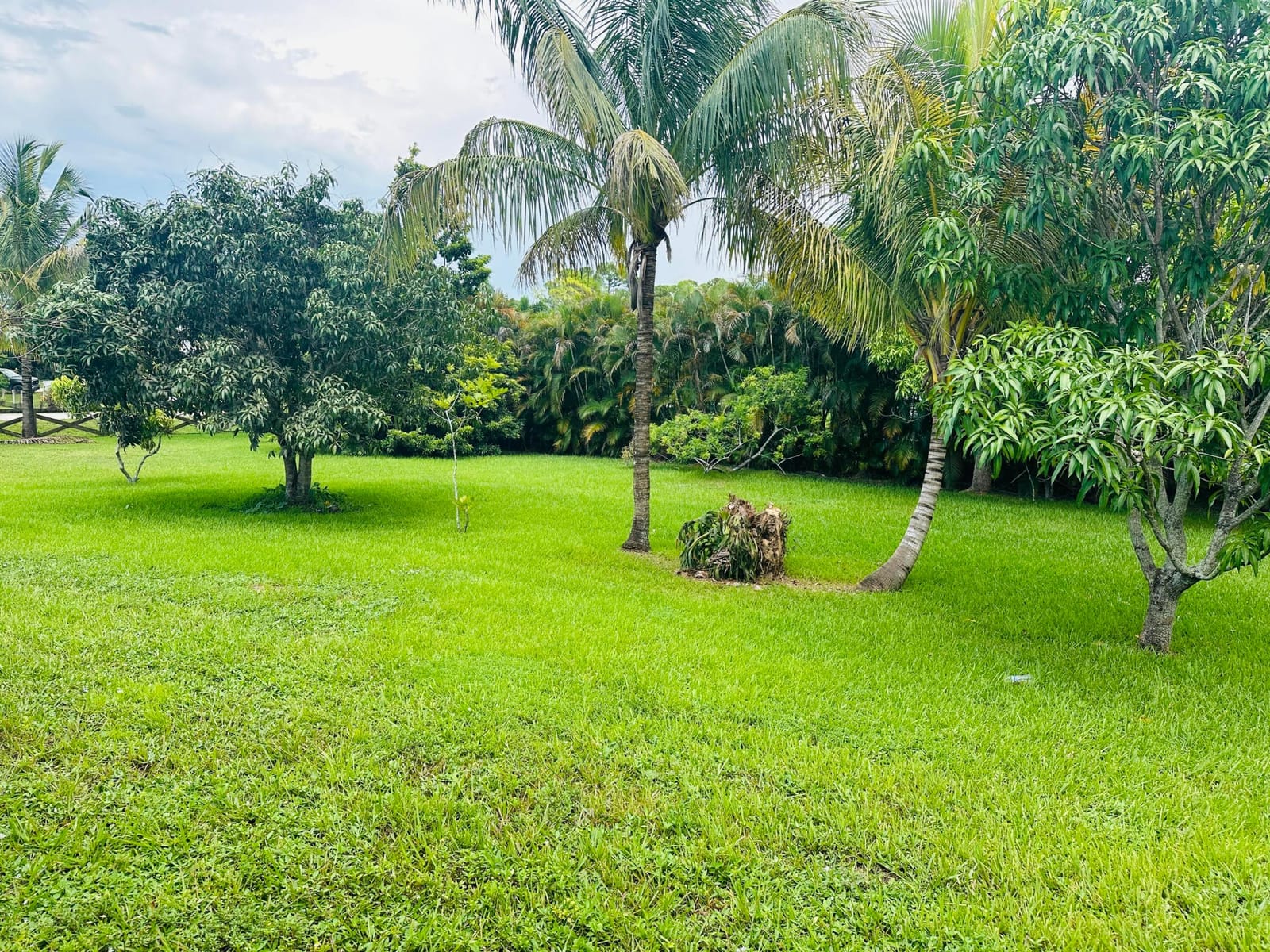 13638 88th Place N, West Palm Beach, FL 33412 photo 8