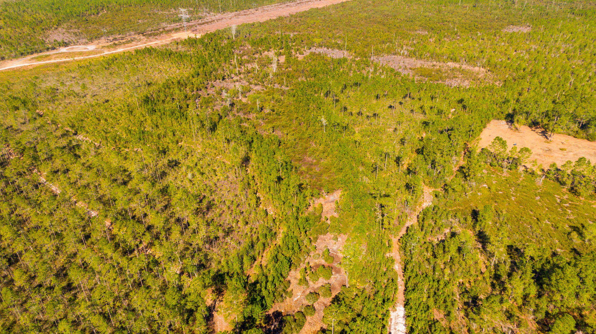 0000 Ne 125th Ave, Fort McCoy, FL 32134, Fort McCoy