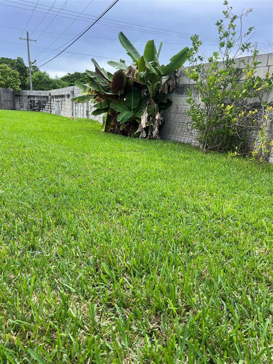20822 SW 121st Avenue, Miami, FL 33177 photo 15