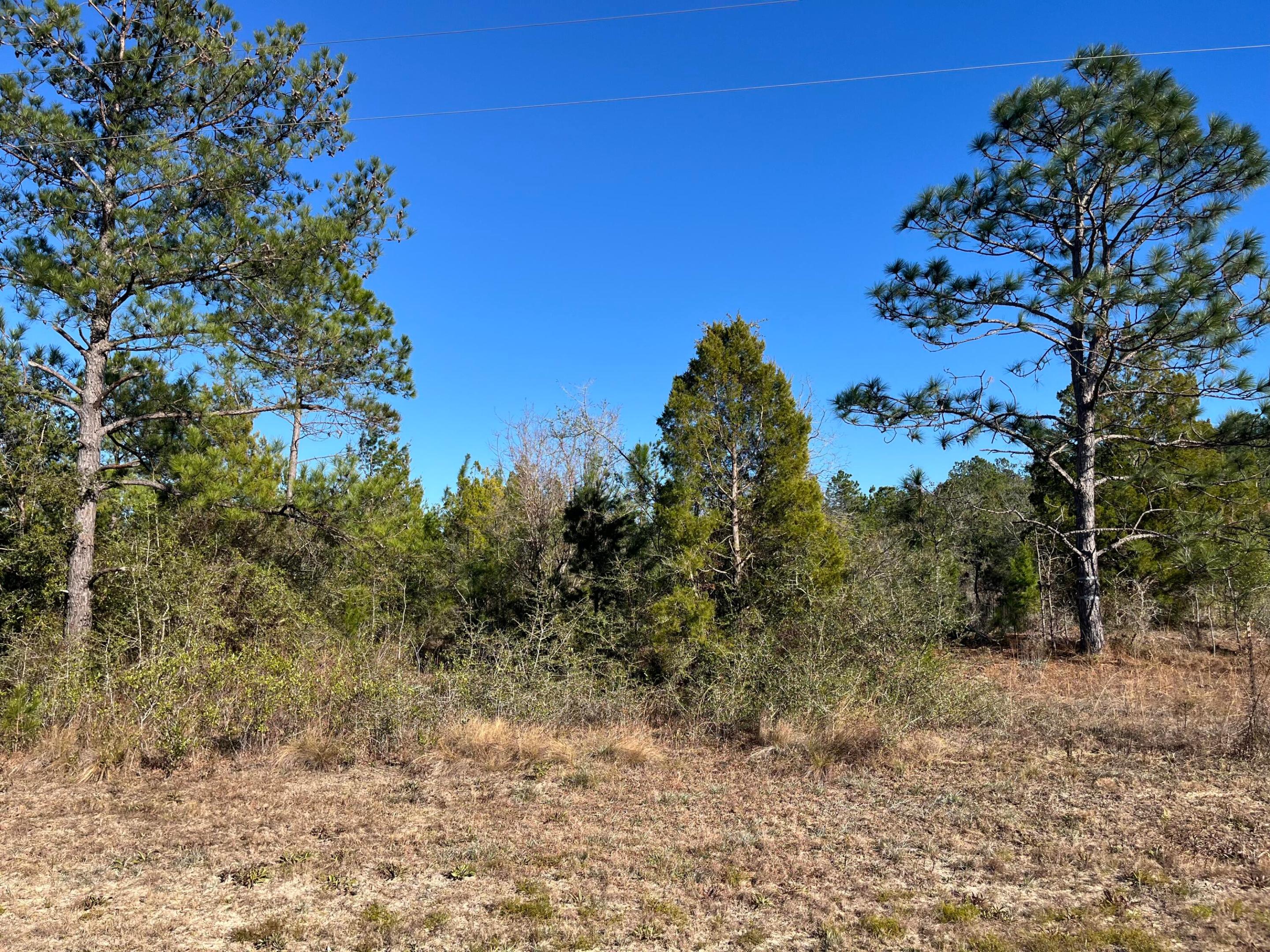 Tbd Fairview Road, Marianna, FL 32448, Marianna