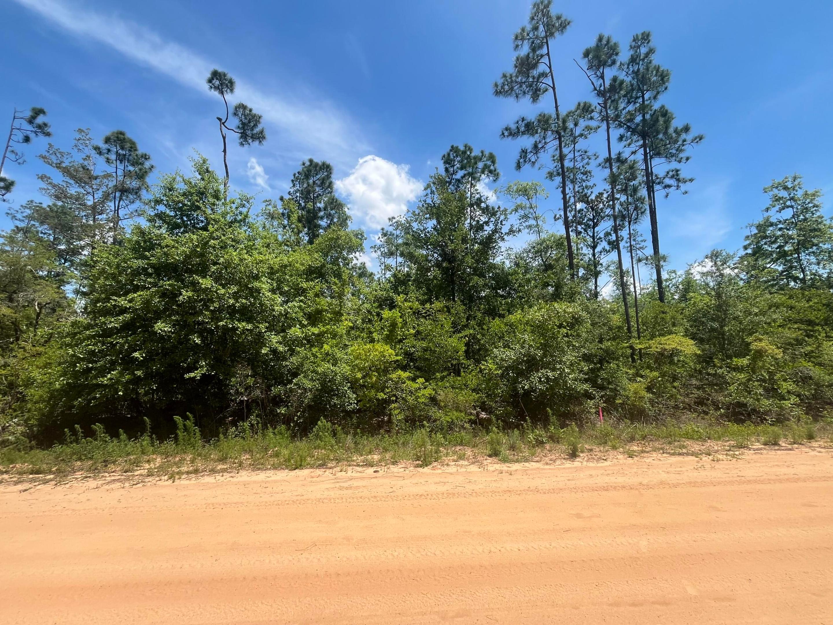 Tbd Tamarac Road, Marianna, FL 32448, Marianna