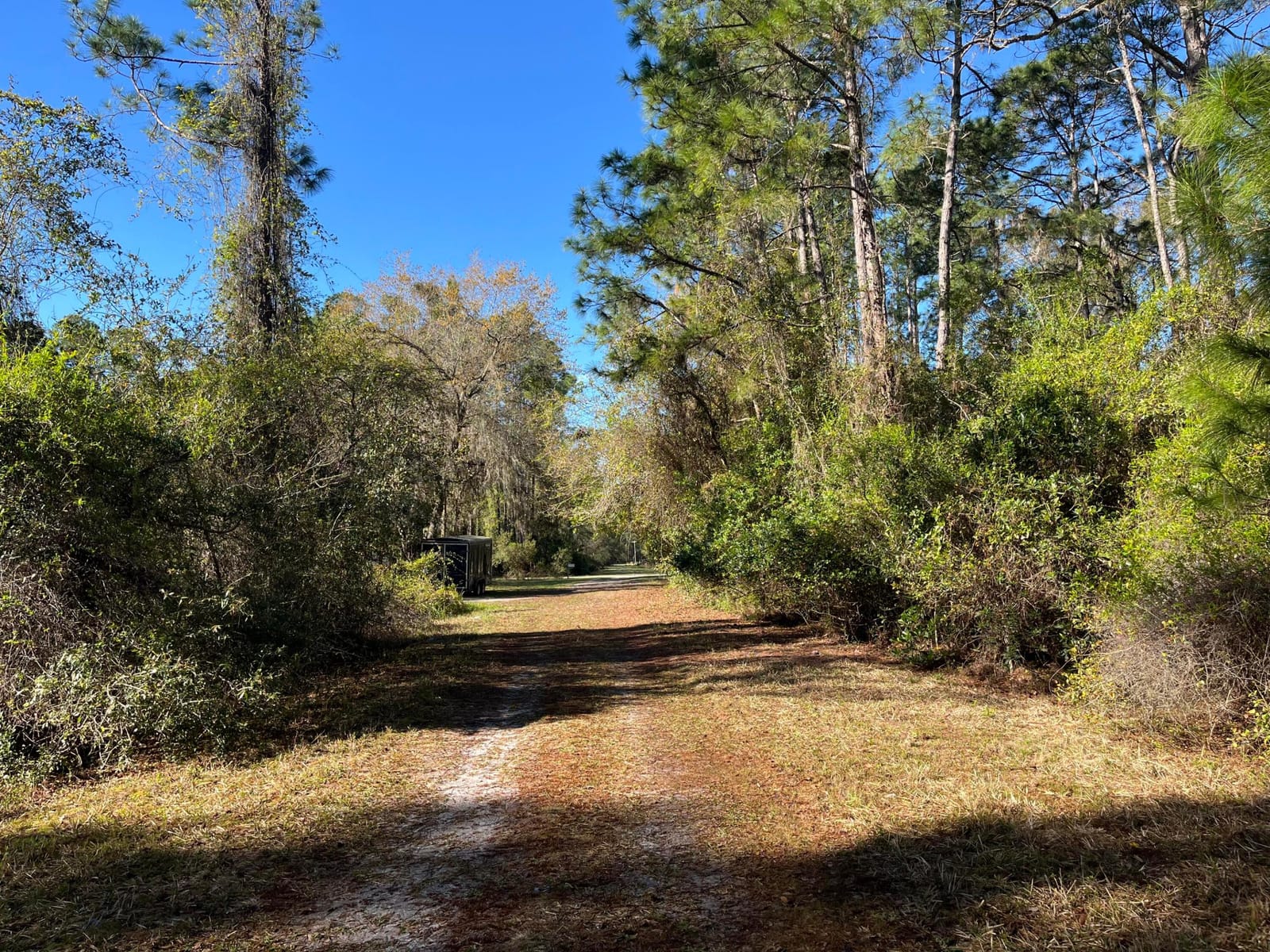 208 SE 3rd Street, Georgetown, FL 32139 photo 4