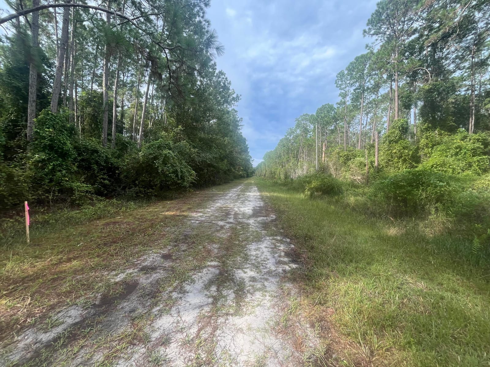 223 SE 2nd Street, Georgetown, FL 32139 photo 3