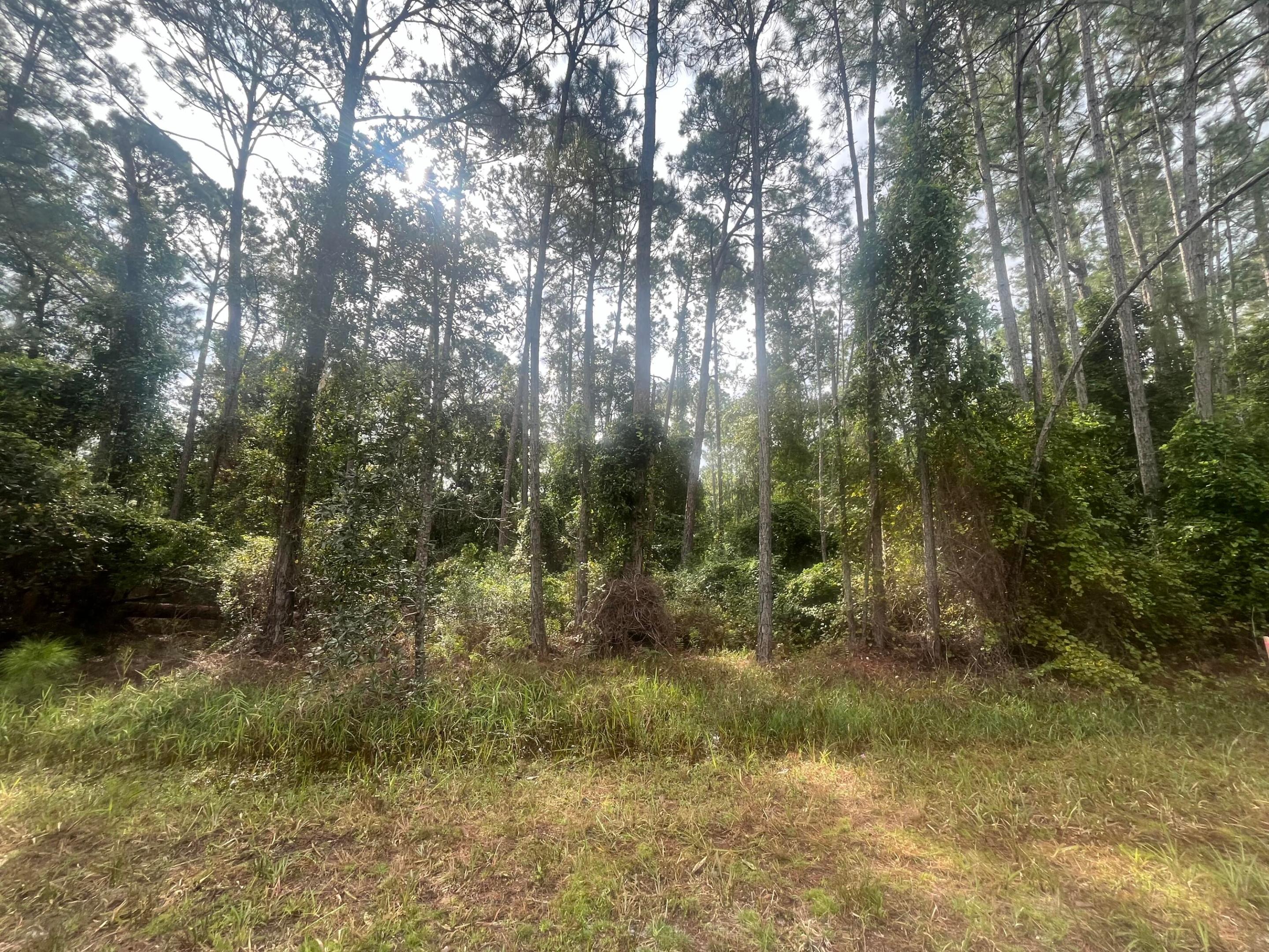 223 SE 2nd Street, Georgetown, FL 32139, Georgetown
