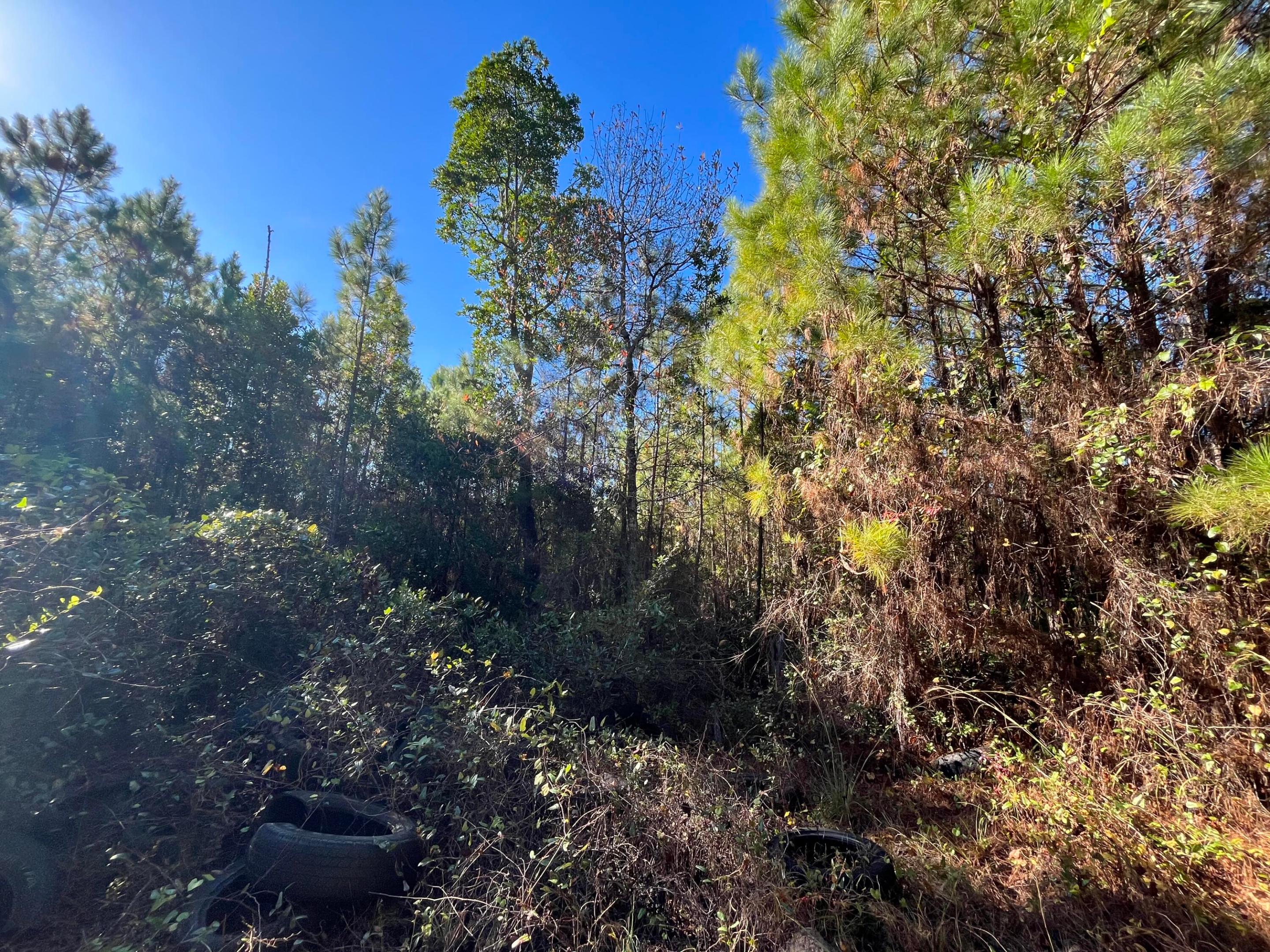 223 Mourning Dove Road, Satsuma, FL 32189, Satsuma