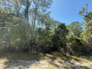 337 Palm Way, Georgetown, FL 32139, Georgetown