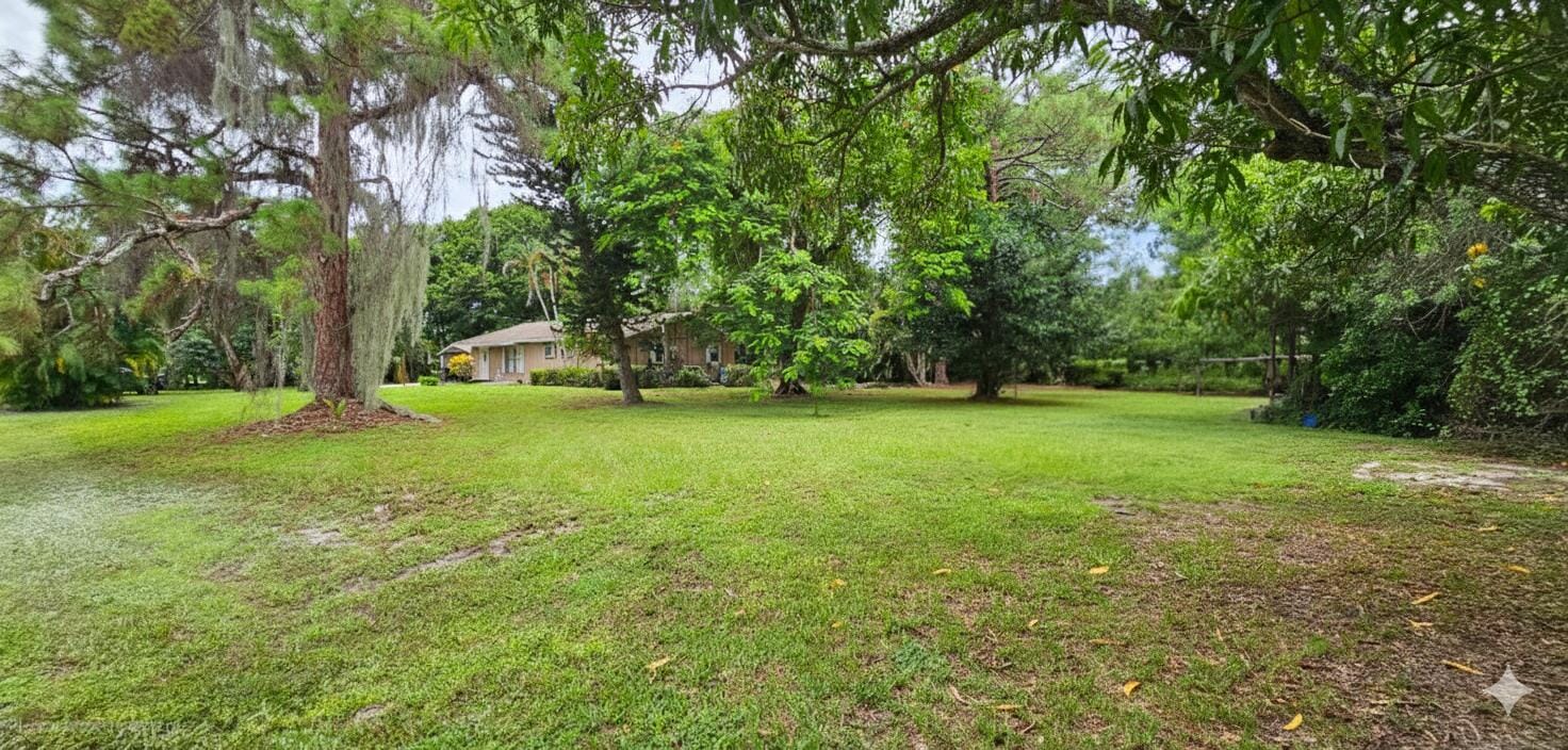 5675 Sims Road — photo 11