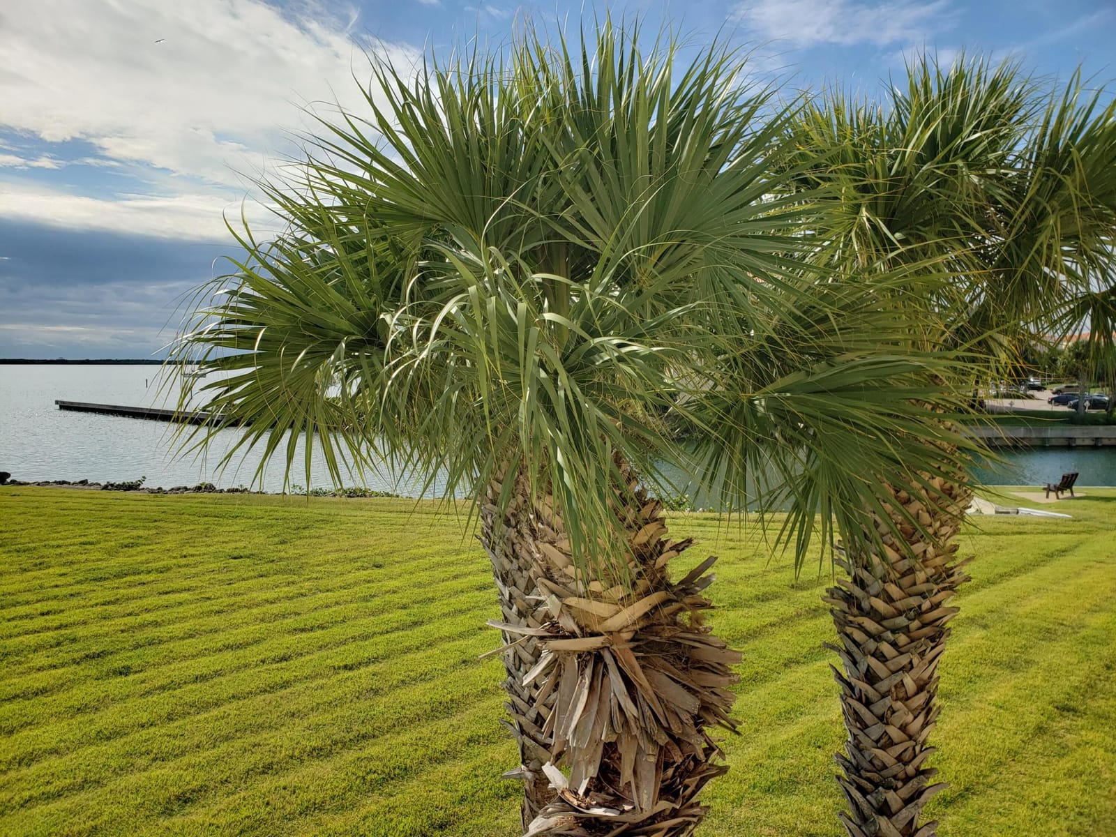 4 Harbour Isle Drive E 203, Fort Pierce, FL 34949 photo 28