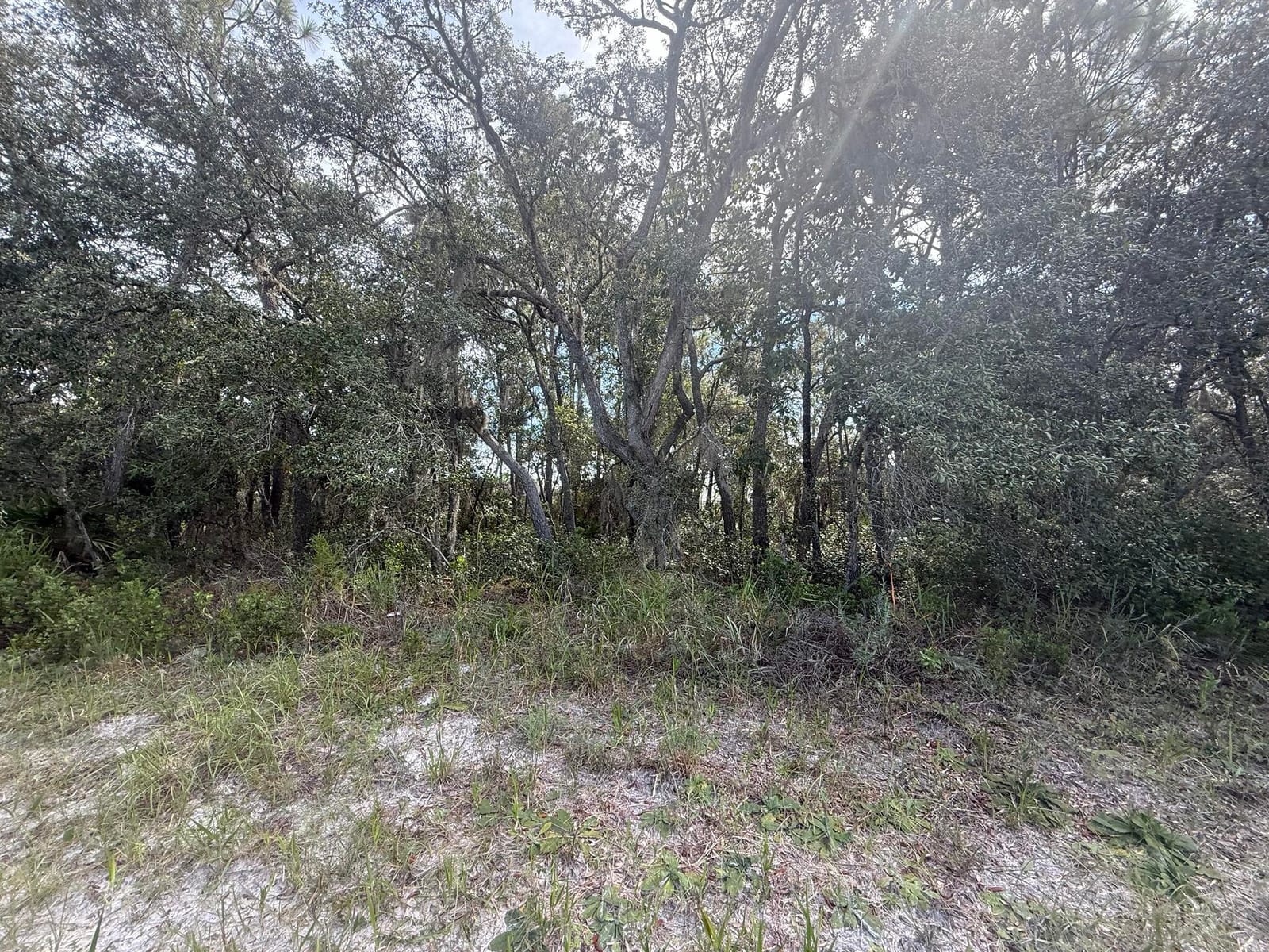 Tbd SW 146th Lane Road — photo 11