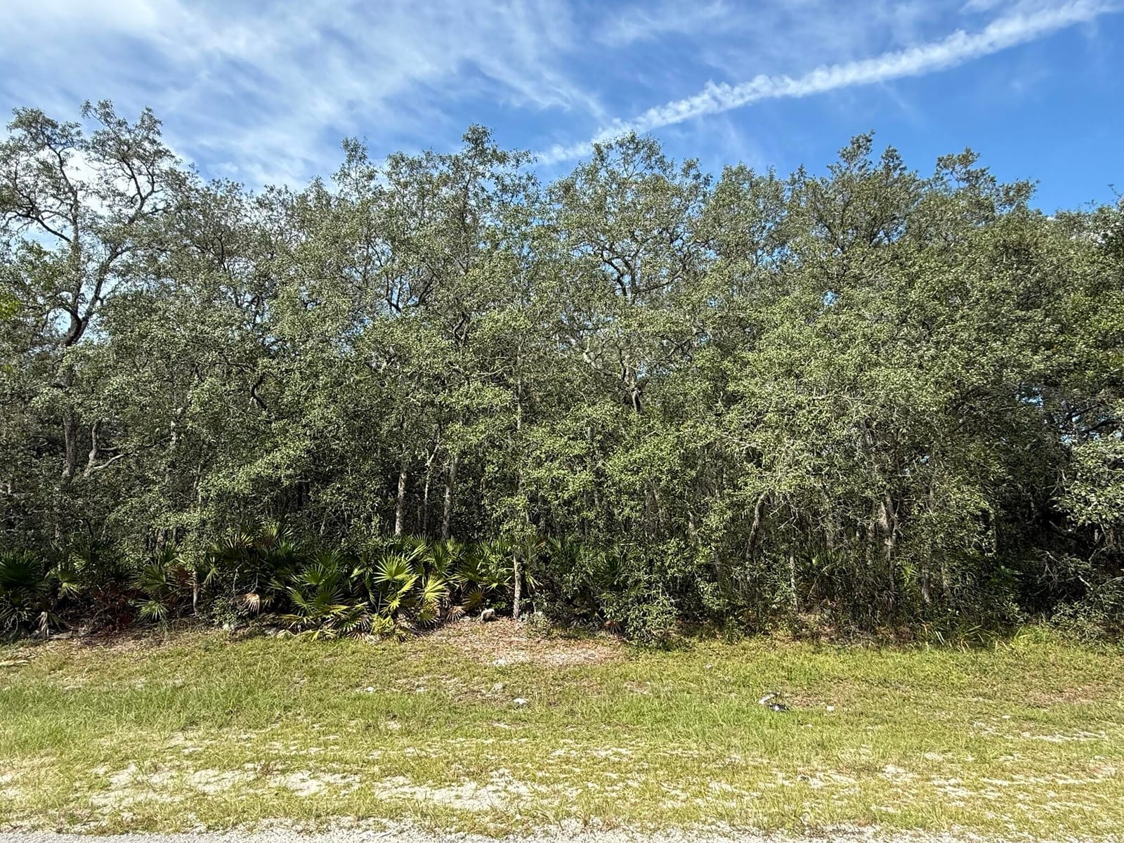 Tbd SW 146th Lane Road, Dunnellon, FL 34432 photo 13