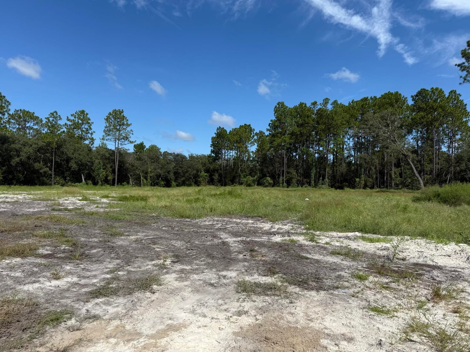 Tbd SW 146th Lane Road, Dunnellon, FL 34432 photo 14