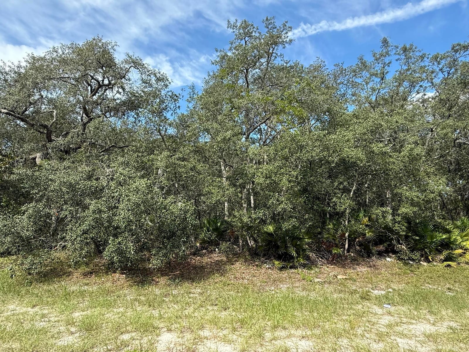 Tbd SW 146th Lane Road — photo 8