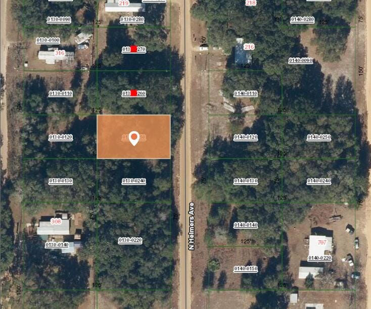 0 N Helmers Avenue, Interlachen, FL 32148 photo 3