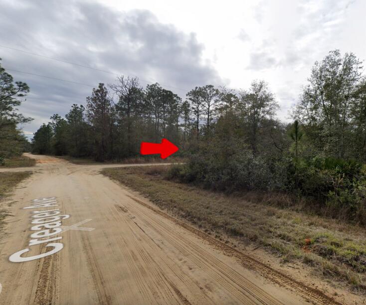 000 Creager Avenue, Interlachen, FL 32148, Interlachen