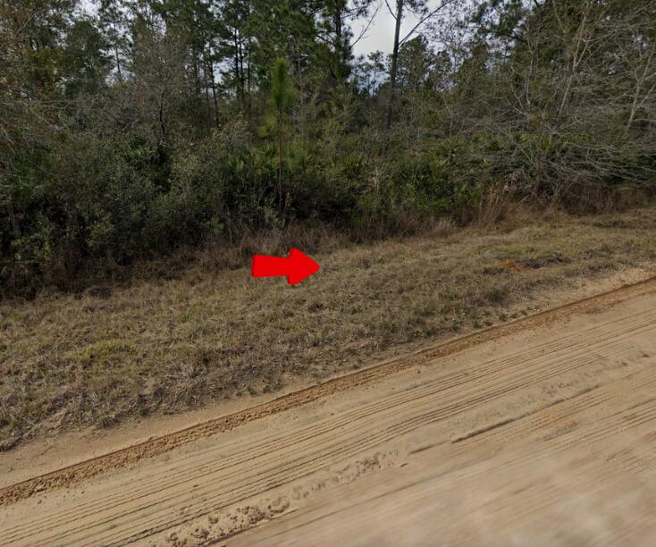 001 Creager, Interlachen, FL 32148, Interlachen