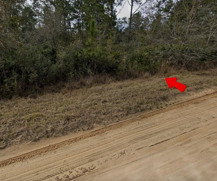 003 Creager Avenue, Interlachen, FL 32148, Interlachen