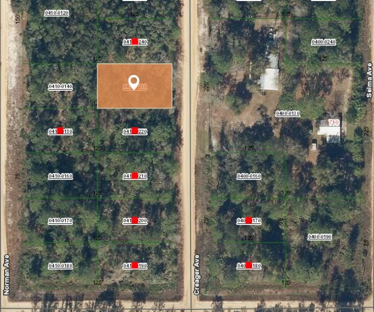 004 Creager Avenue, Interlachen, FL 32148 photo 2