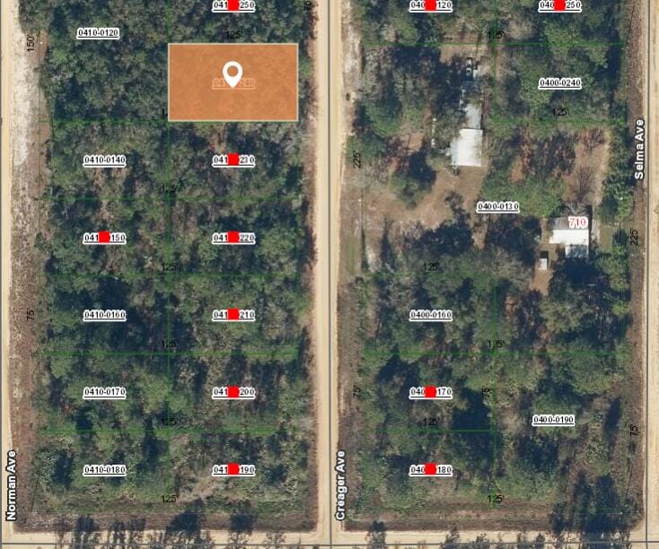 005 Creager Avenue, Interlachen, FL 32148 photo 2