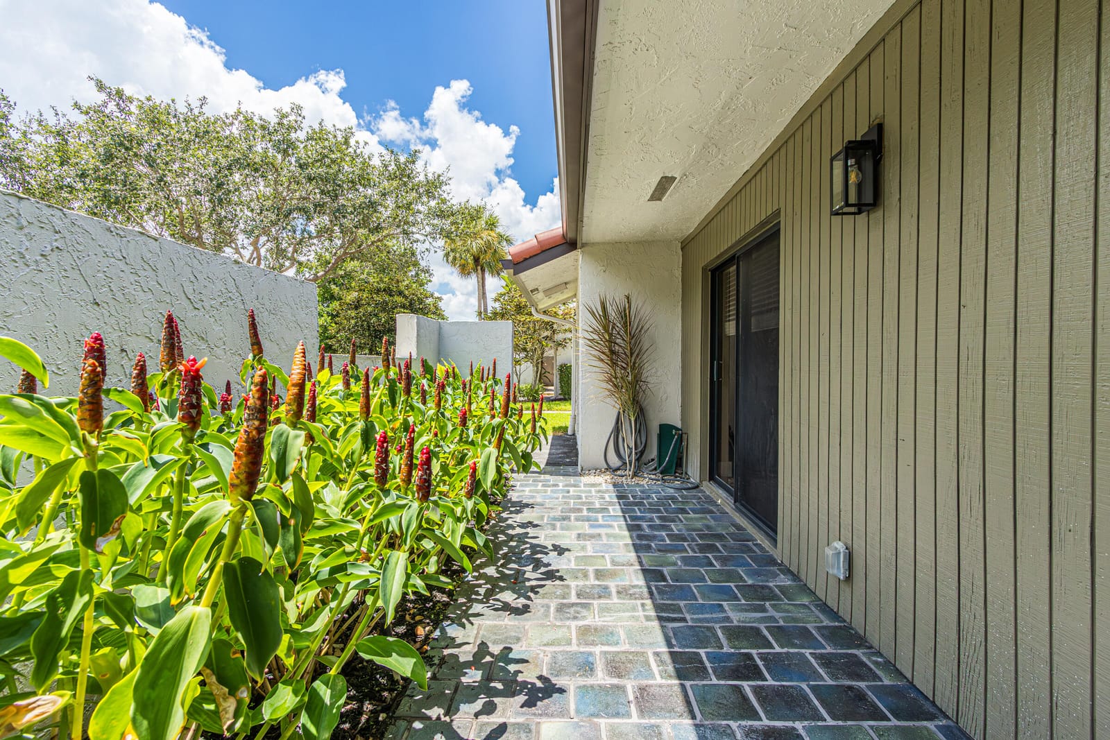 9223 Pecky Cypress 10a — photo 4