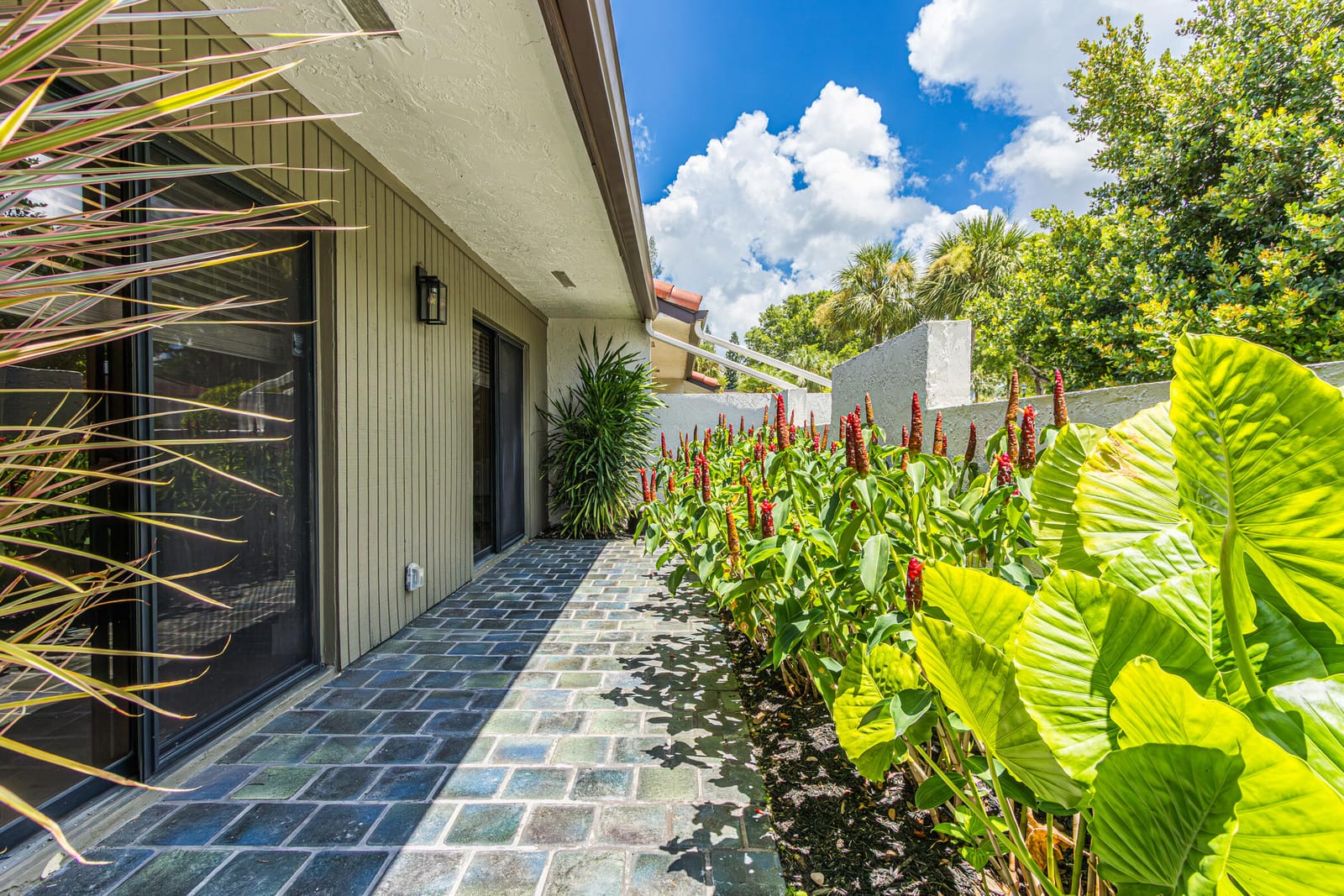 9223 Pecky Cypress 10a — photo 5