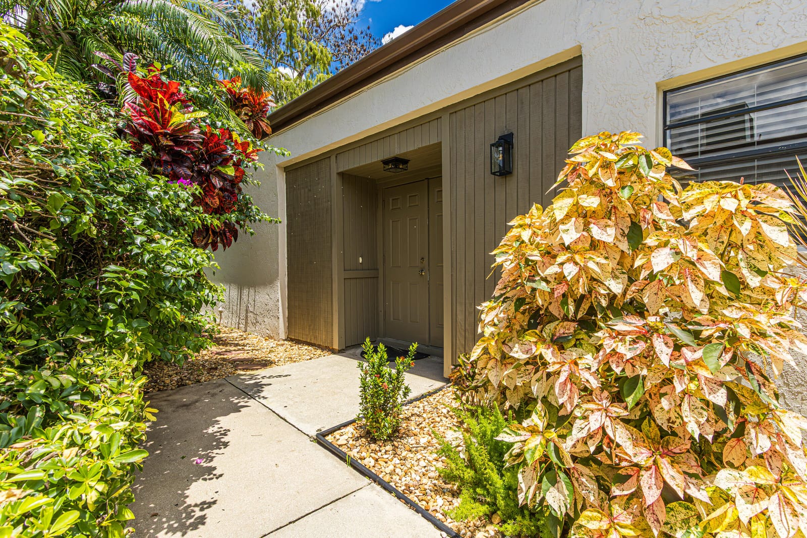 9223 Pecky Cypress 10a — photo 6