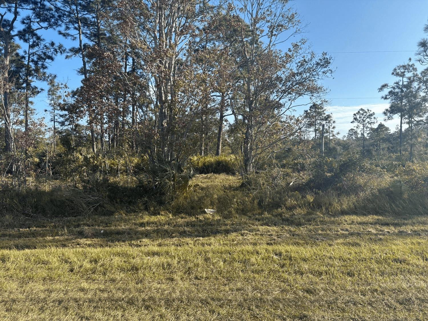 0 NW 24th Drive, Okeechobee, FL 34972, Okeechobee
