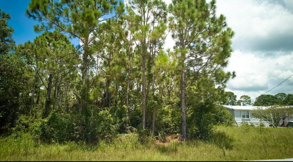 5819 NE 4th Lane, Okeechobee, FL 34974 photo 4