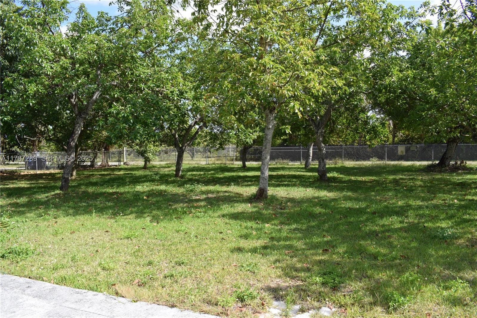 16635 SW 236th Street, Homestead, FL 33031 photo 24