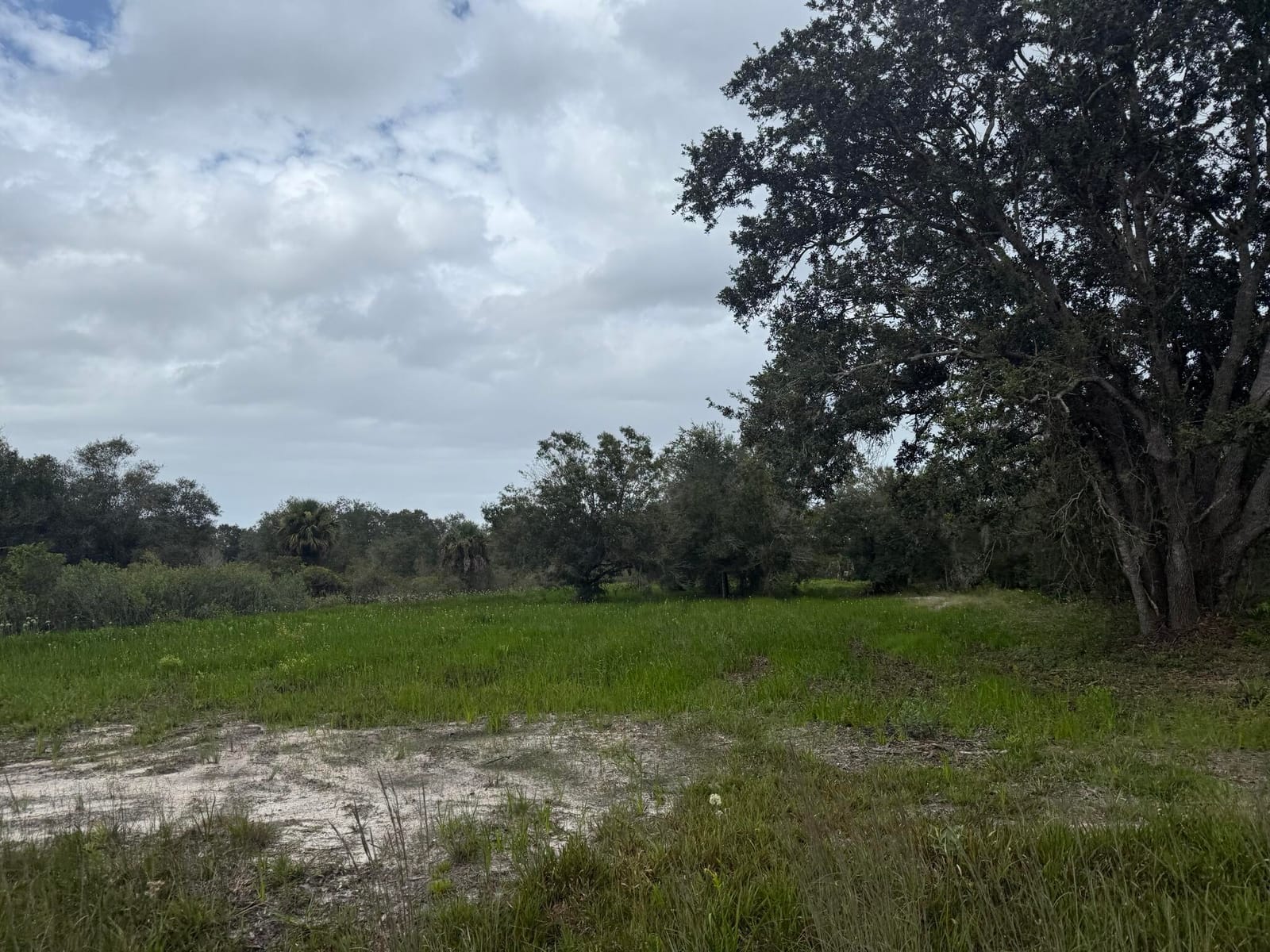 17915 NW 290th Street, Okeechobee, FL 34972