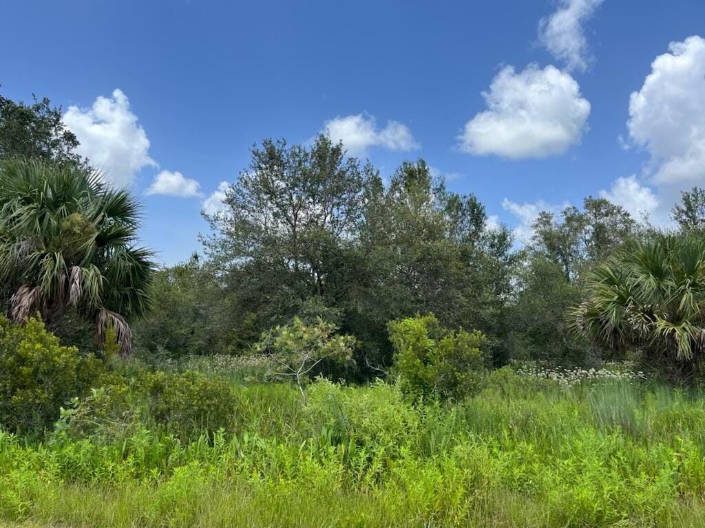 17915 NW 290th Street, Okeechobee, FL 34972 photo 2