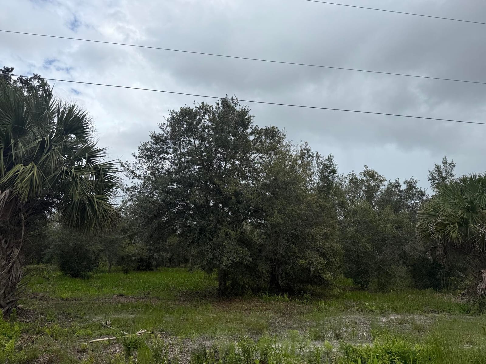 17915 NW 290th Street, Okeechobee, FL 34972 photo 12