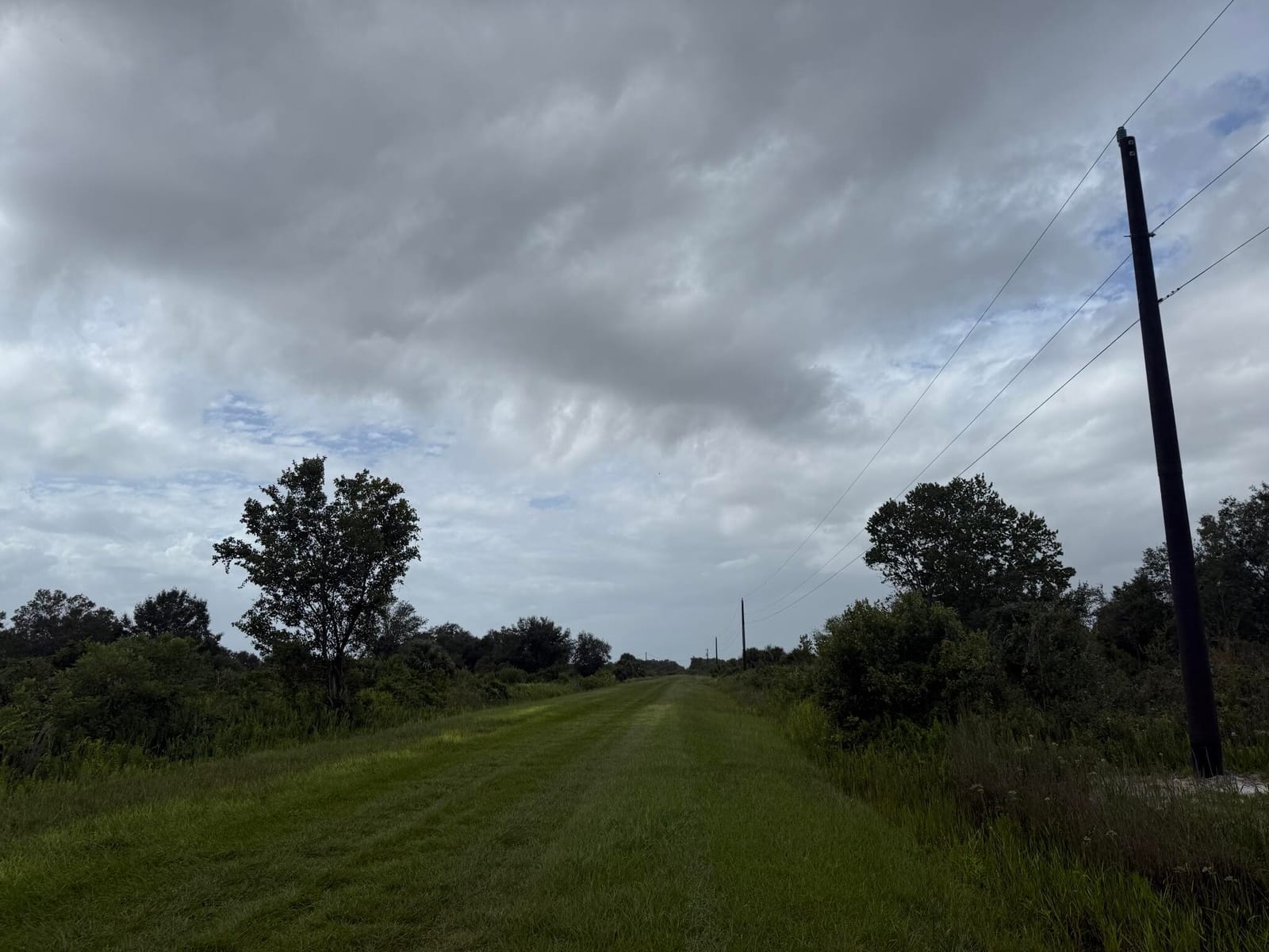 17915 NW 290th Street, Okeechobee, FL 34972 photo 14