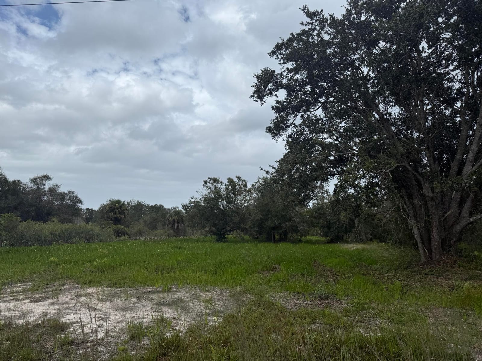 17915 NW 290th Street, Okeechobee, FL 34972 photo 15