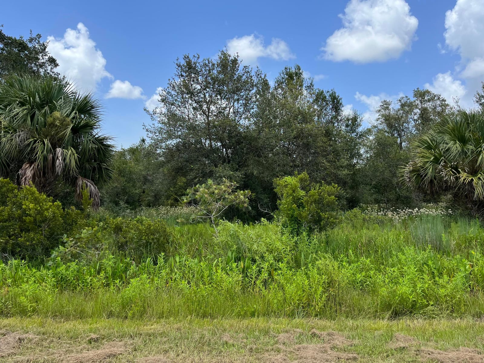 17915 NW 290th Street, Okeechobee, FL 34972 photo 3