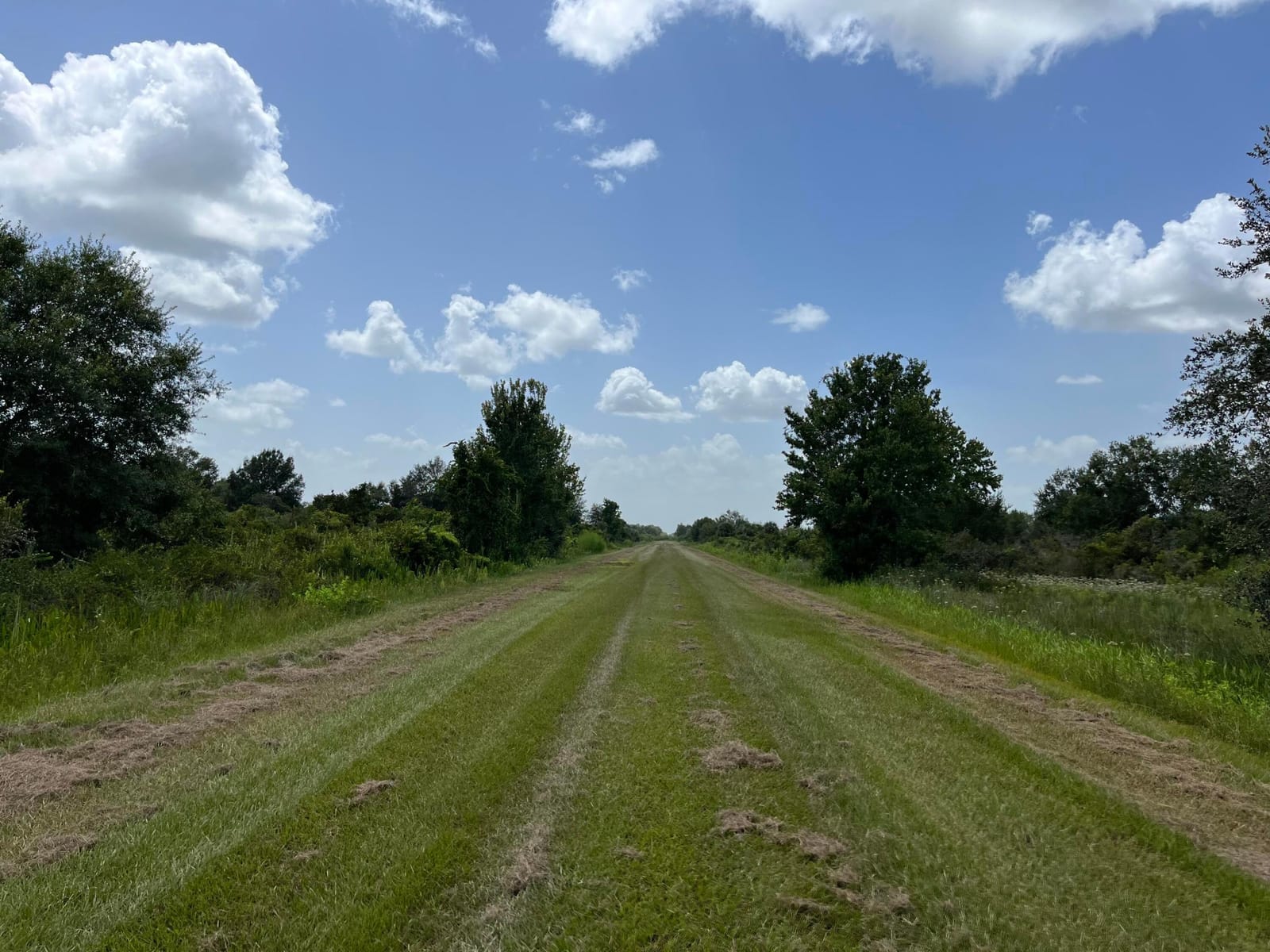 17915 NW 290th Street, Okeechobee, FL 34972 photo 4
