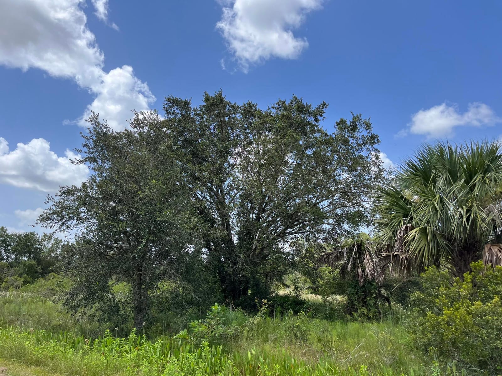 17915 NW 290th Street, Okeechobee, FL 34972 photo 5
