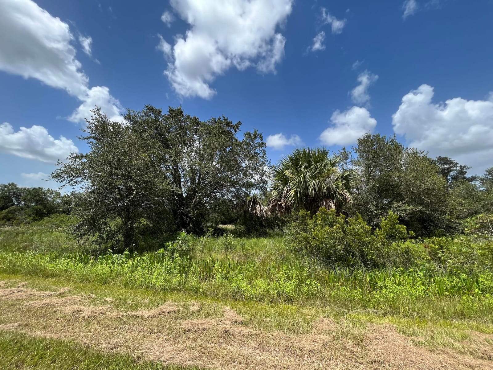 17915 NW 290th Street, Okeechobee, FL 34972 photo 6