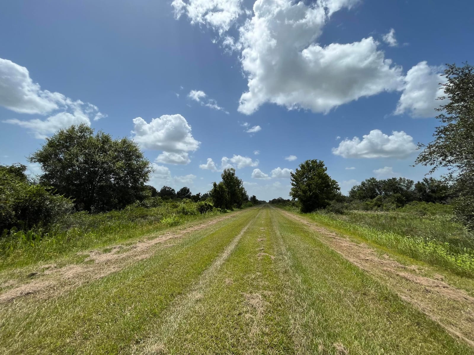 17915 NW 290th Street, Okeechobee, FL 34972 photo 7