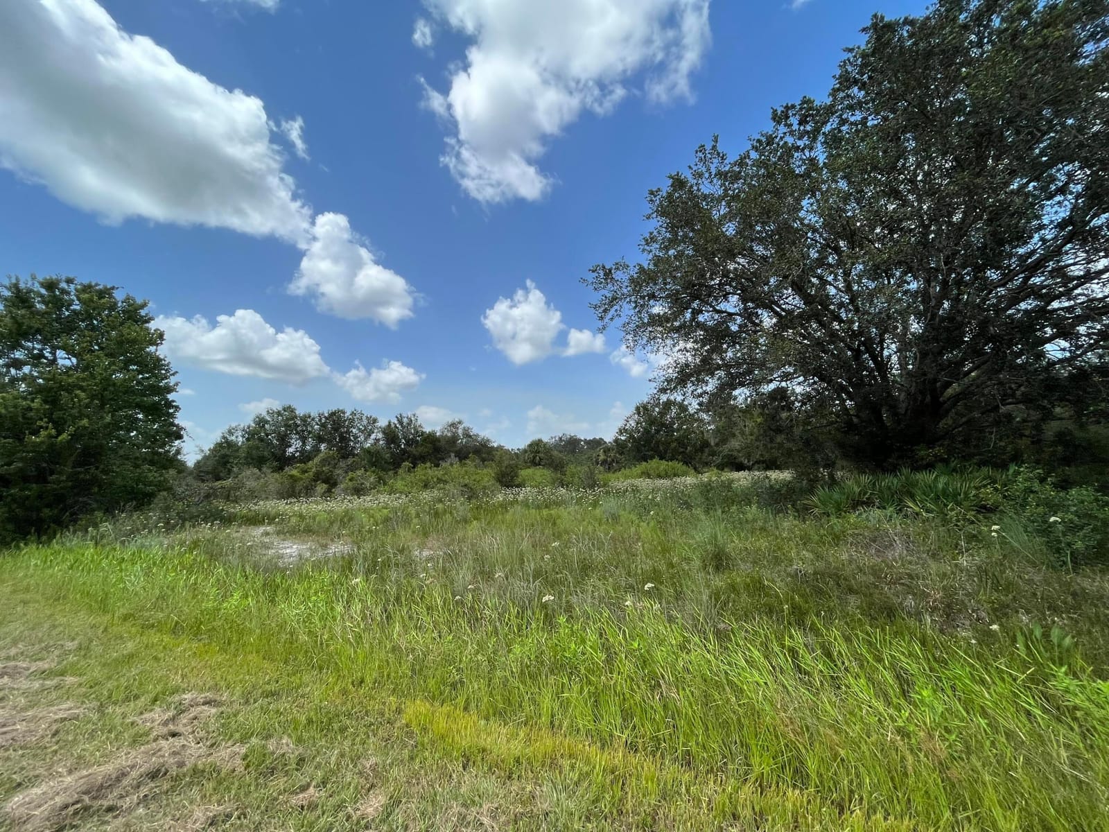 17915 NW 290th Street, Okeechobee, FL 34972 photo 8