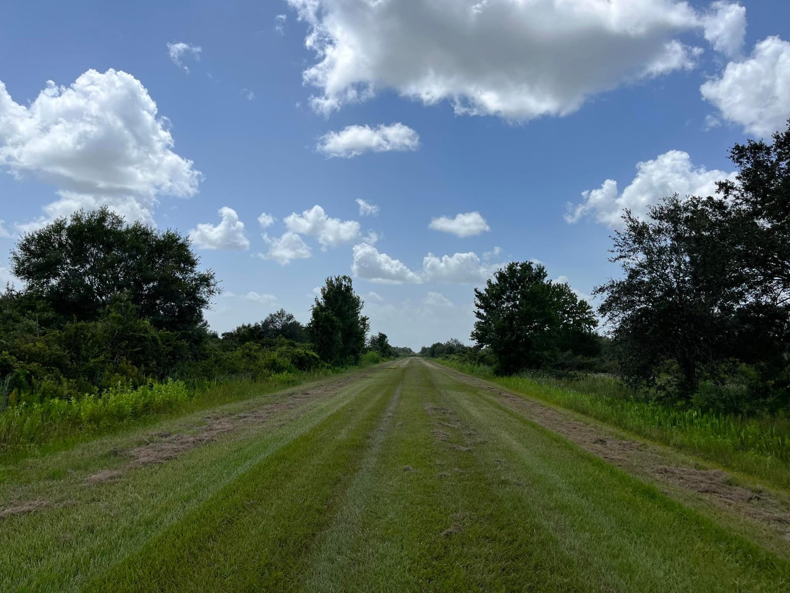 17915 NW 290th Street, Okeechobee, FL 34972 photo 10