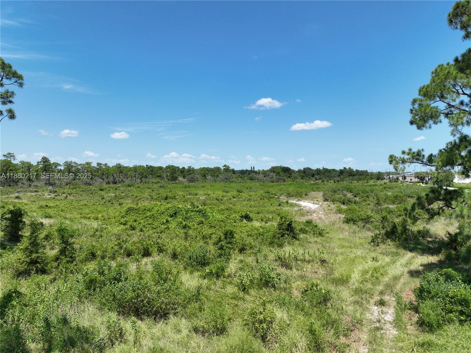 530 Lotus, Sebring, FL 33872 photo 9